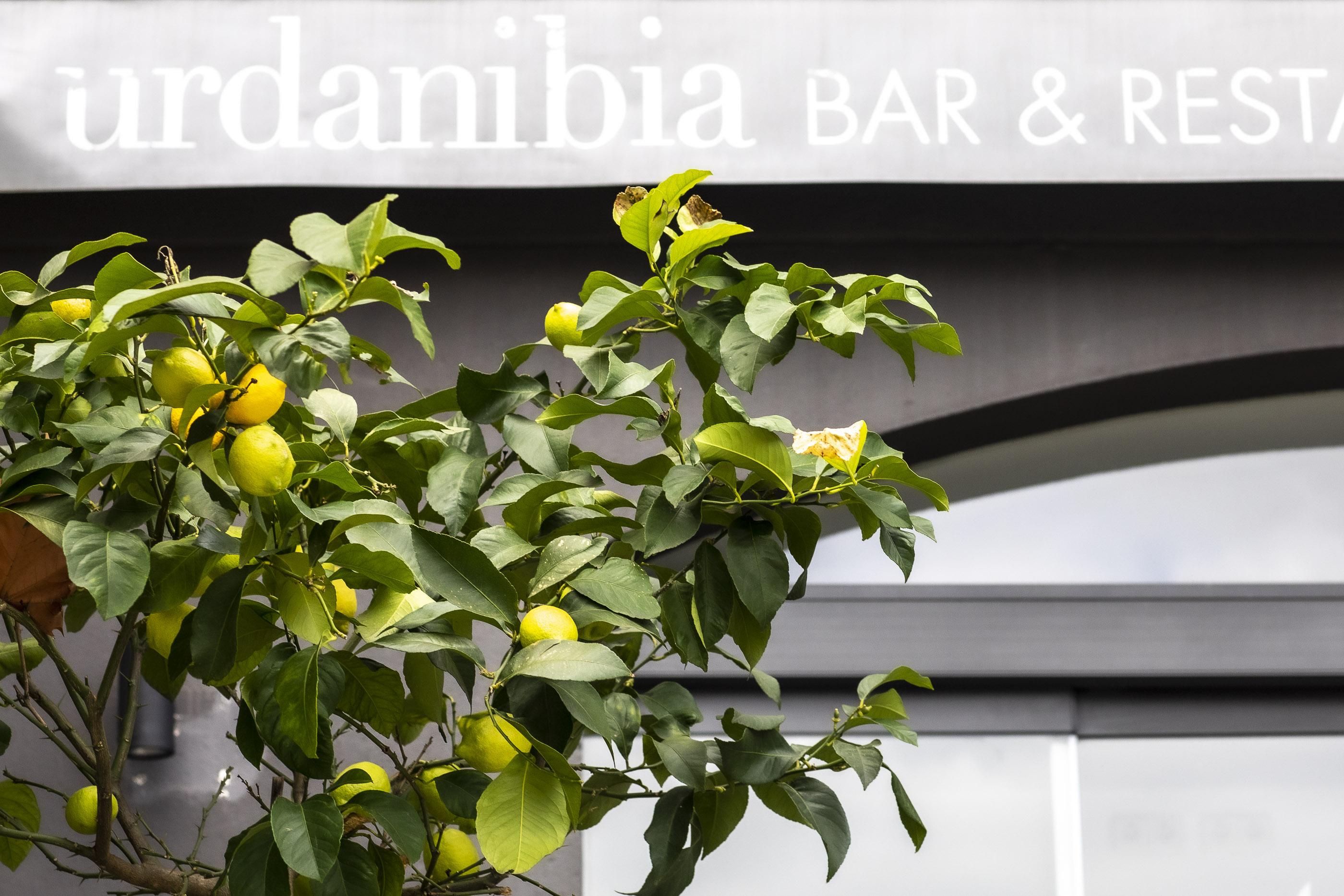 Hotel Urdanibia Park Irun Ngoại thất bức ảnh